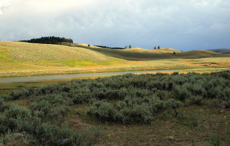 Пейзаж со светомphoto preview