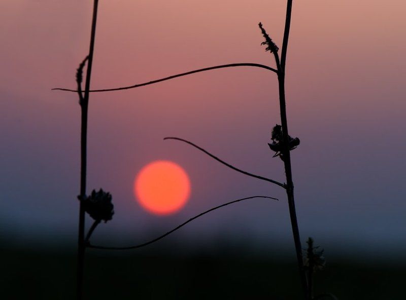 Я слышу танец...photo preview