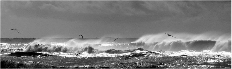 шторм, волны, чайки, море_средиземное Шторм (2)photo preview