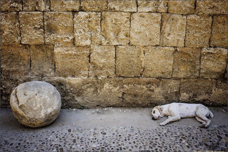 Сладкий сонphoto preview