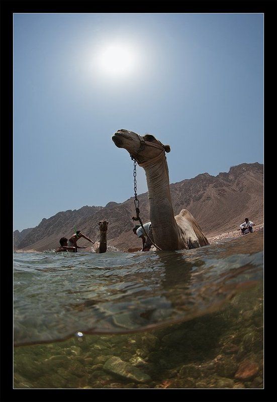 Иногда даже эти корабли плаваютphoto preview