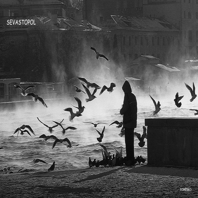 АРТбухта минус 15photo preview