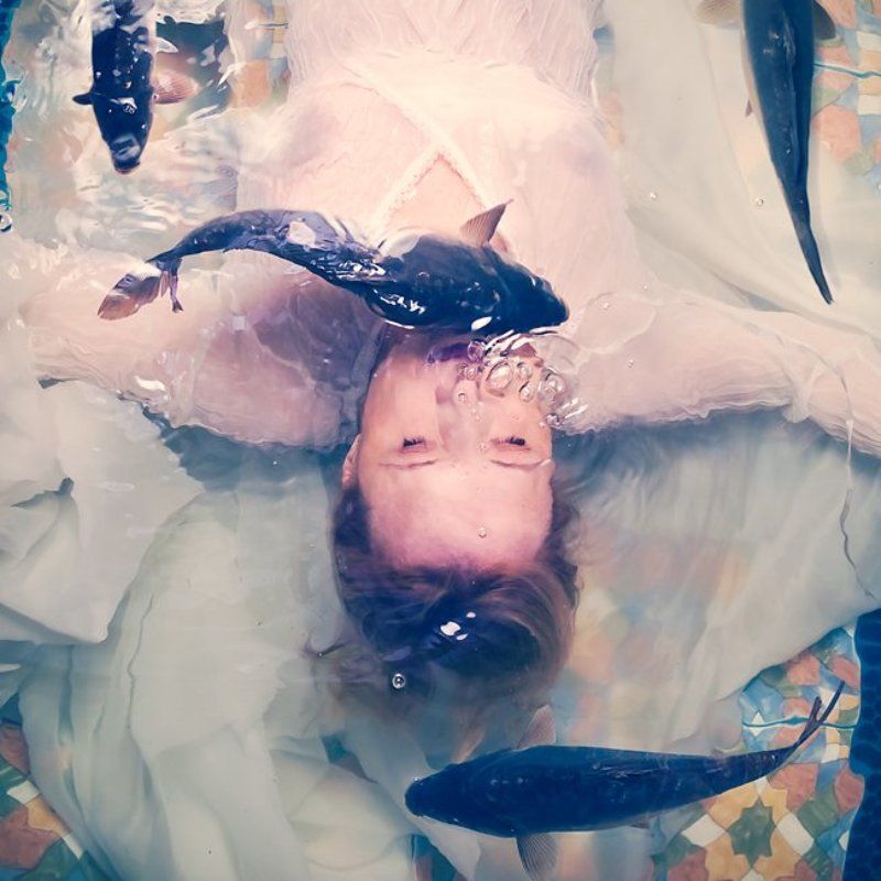 drawning by numbersphoto preview