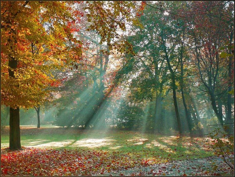 Близость осени...photo preview