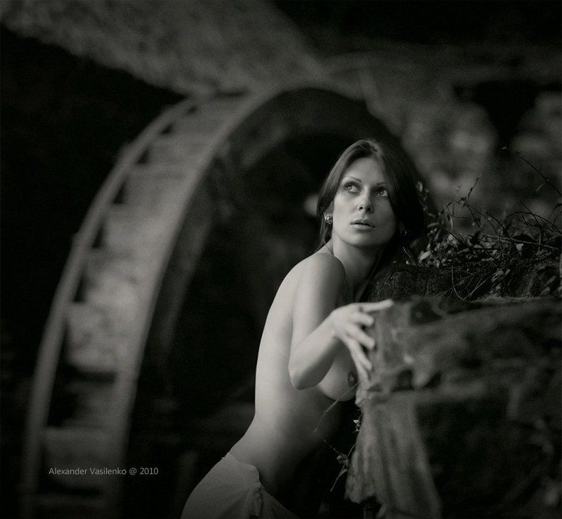 P h o t o g r a p h y...photo preview