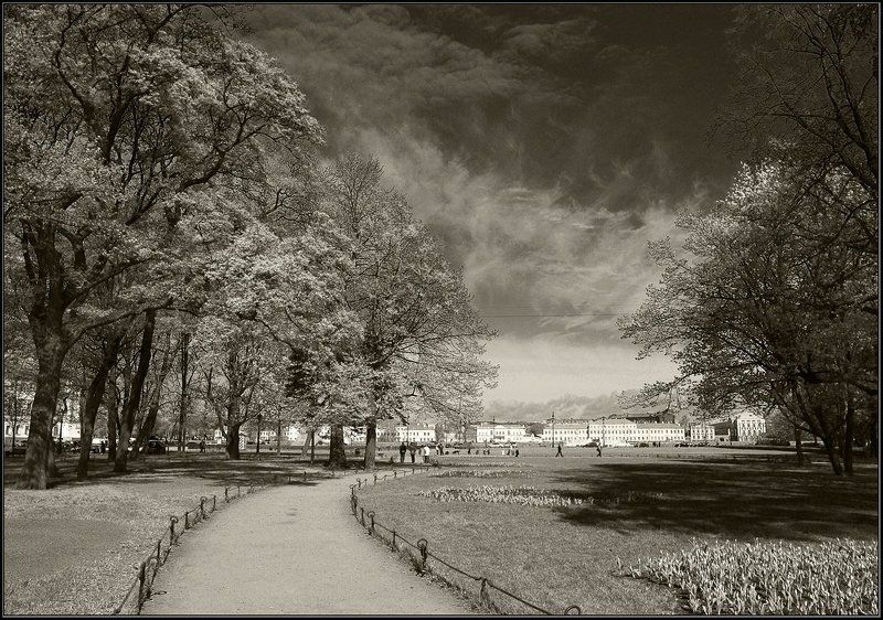 петербург От Исакия к Сенатской...photo preview