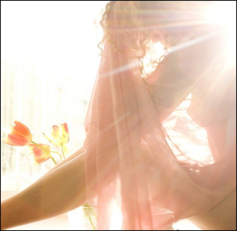 paradisephoto preview