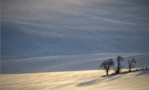 Moravian field
