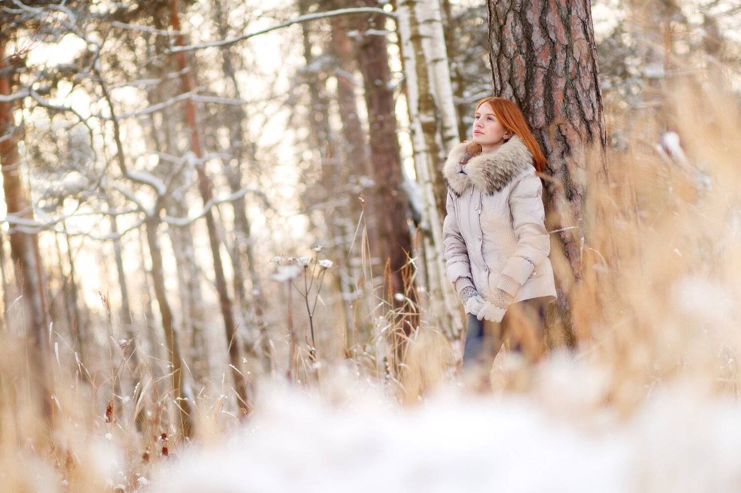 ***. Автор: Димант Анна , Димант Анна