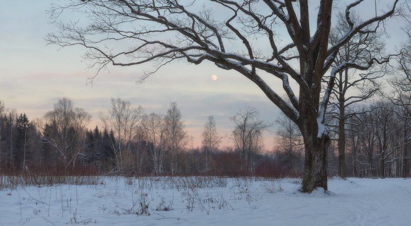 пушкин, царское село, спб, питер, зима Вы говорите, что февраль суров..?photo preview