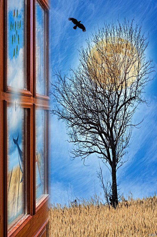 art, concept, conceptual, color, colors, color image, collage, composing, digital, digital art, door, editing, moon, photography, photo collage, surreal, surrealism, tree, If I Meet a Bird, I Wave a Friendly Hand at Itphoto preview