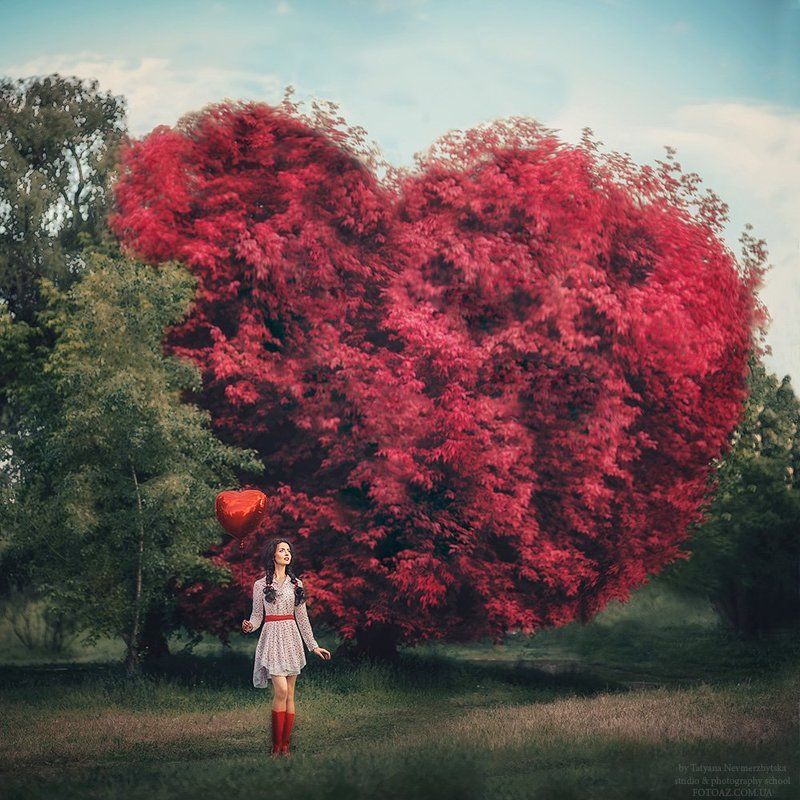 All we need is lovephoto preview