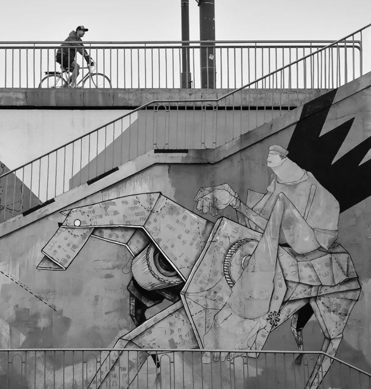 Szarżaphoto preview