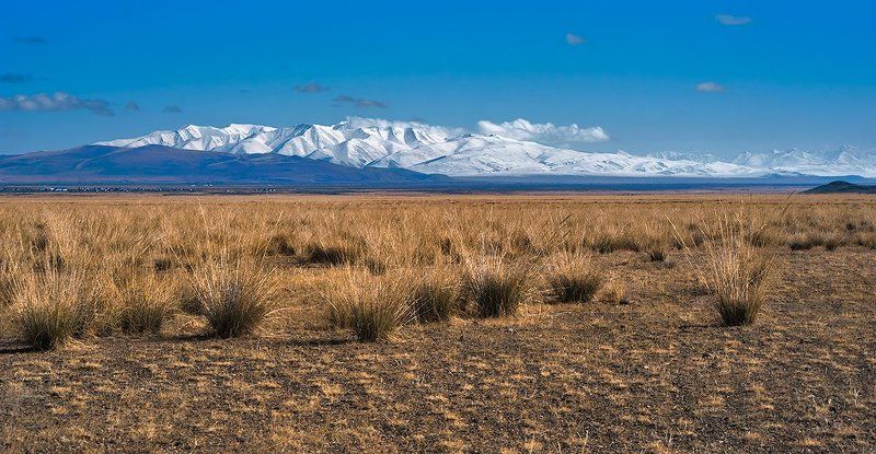 чуйская степь, солончаки, трава, горный алтай, кош-агач Pro другой Алтай…photo preview