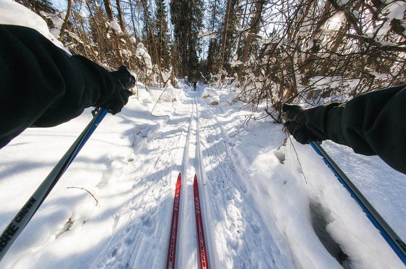 В лесу хорошо :)photo preview