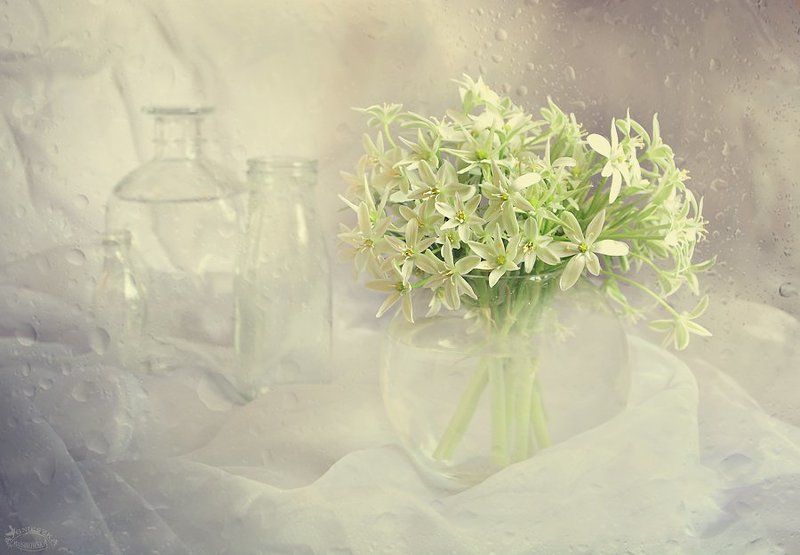 Wiosenne bukietyphoto preview