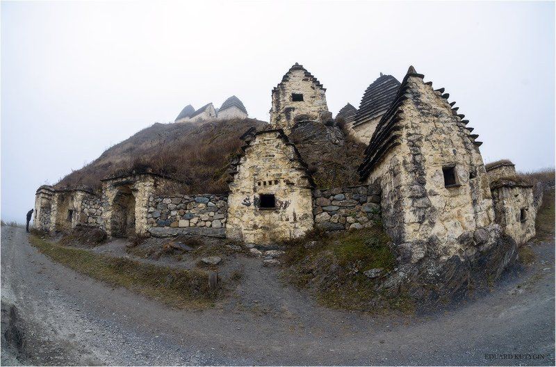 Мы гости в этом прекраснейшем из миров.photo preview