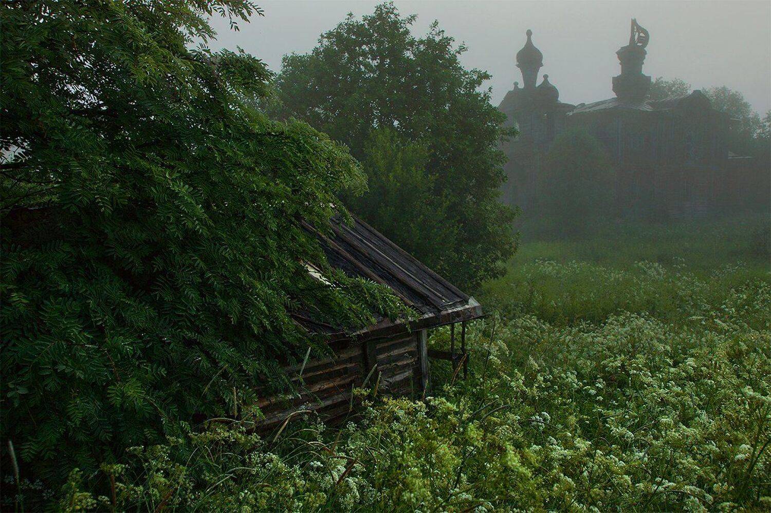 , Петр Косых