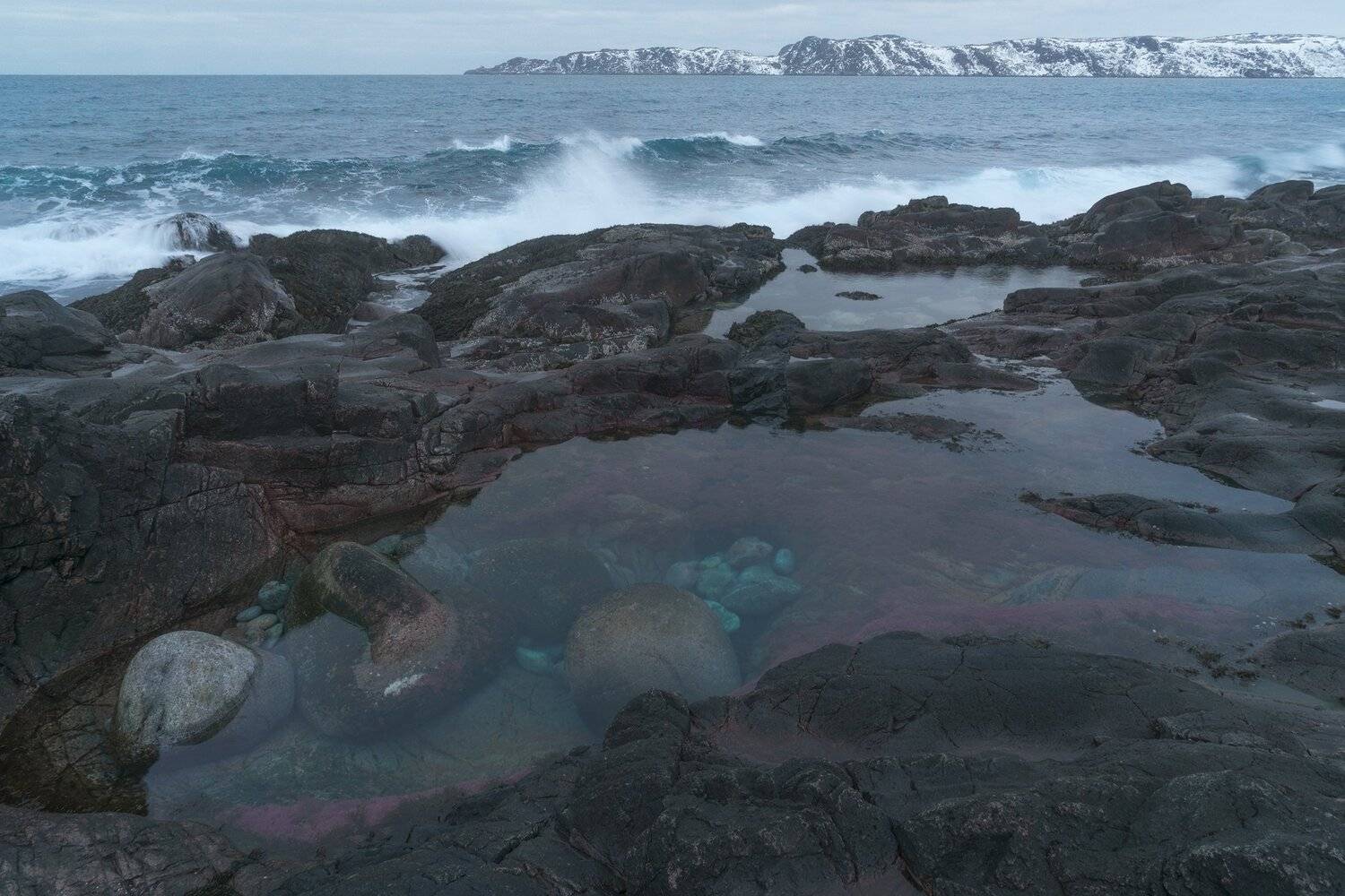 Ванна с камнями и розовыми водорослями. Баренцово море.. Автор: Владимир Рябков Мурманская область, Баренцово море., Владимир Рябков