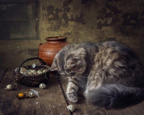 Кошка бежала, лапкой махнула....