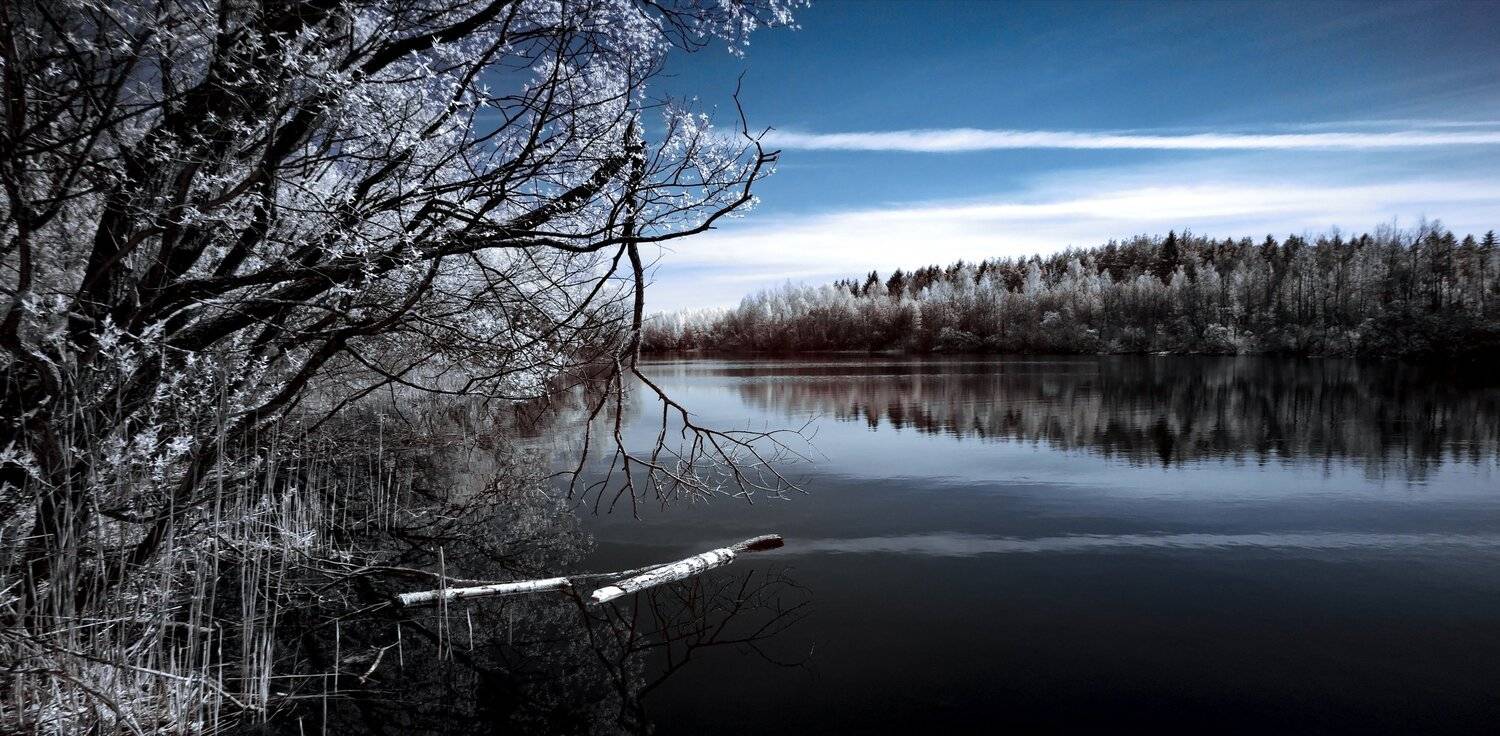 Про сломанную ветку. Инфракрасная фотография.. Автор: Sixten ( Сергей ) infrared,ик-фото,инфракрасное фото,инфракрасная фотография,пейзаж,природа,беларусь,весна, Sixten ( Сергей )