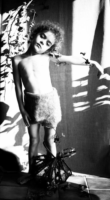 Life treephoto preview