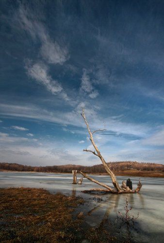 Мартовские зарисовки