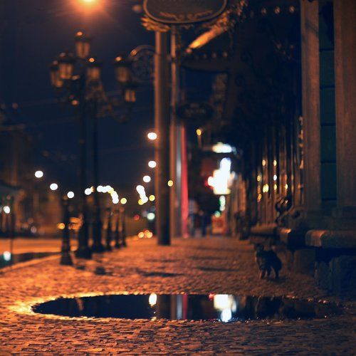 colour of night