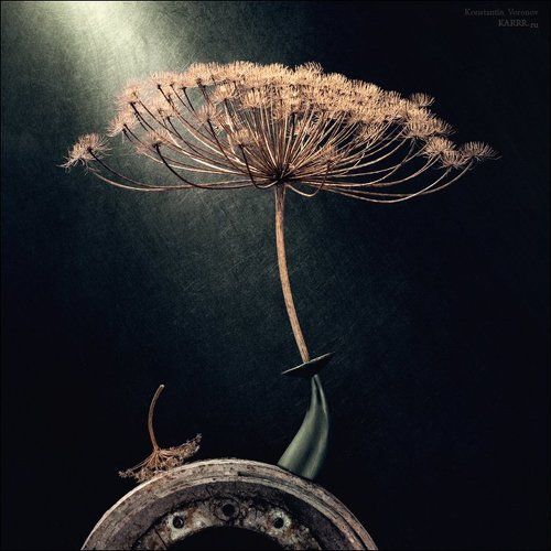 Under my umbrella