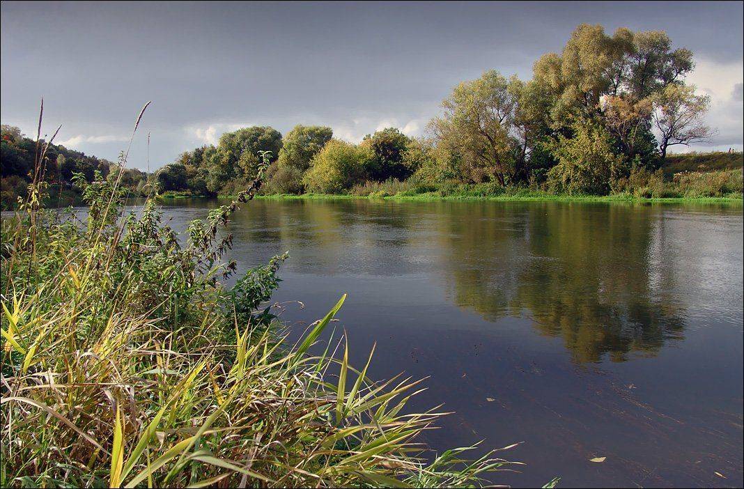 Берега.... Автор: Тарасов Алексей река, москва, звенигород, Тарасов Алексей