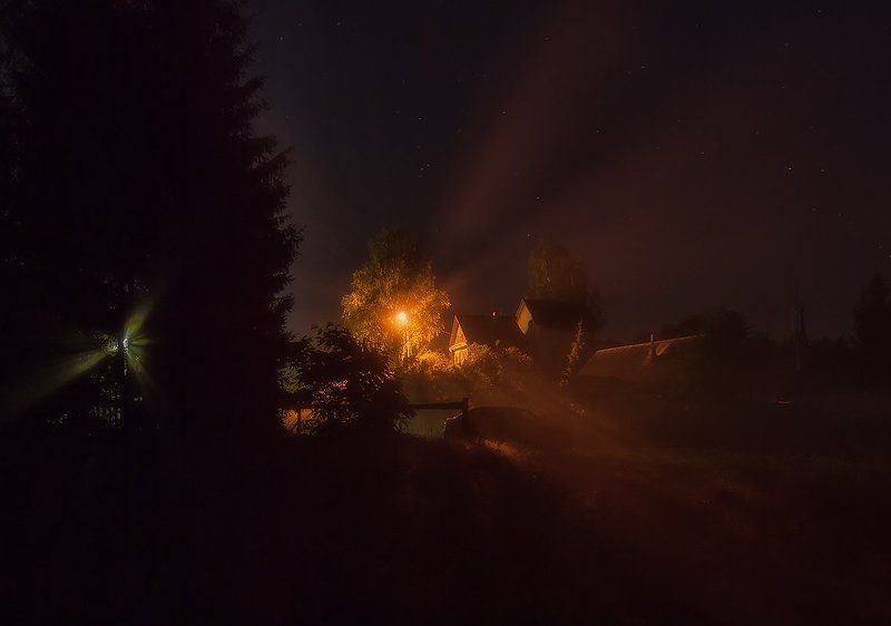 Под покровом ночи...photo preview