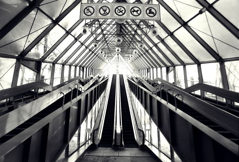 Пушкинский мостphoto preview