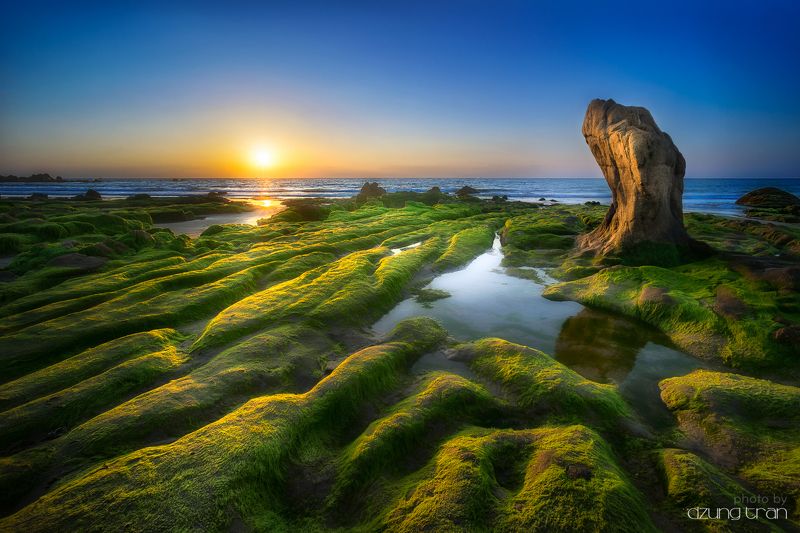 Stone turtle waiting sunrise