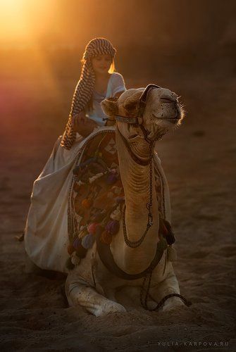 Africa