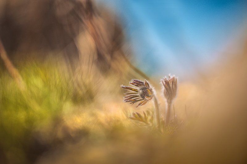 ...остров на двоих...photo preview