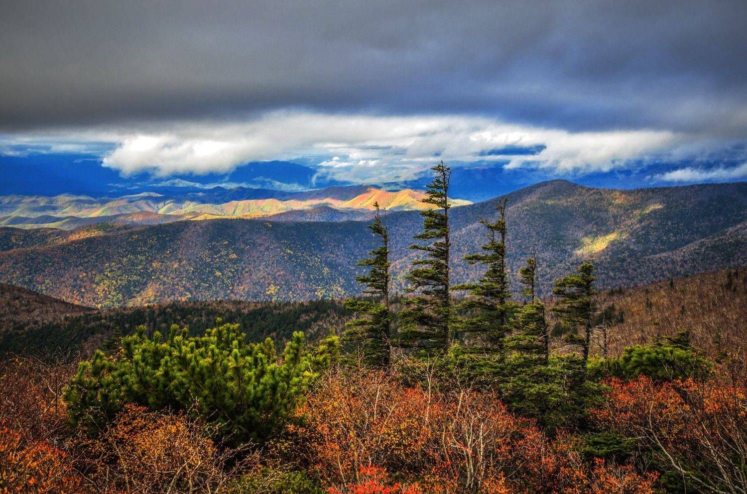 Стражники. Автор: Виталий Берков Горы, елки, приморье, Приморский край, Виталий Берков