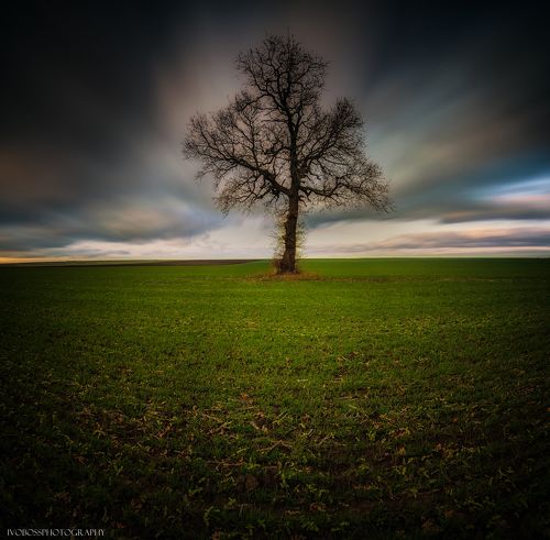Loneliness 