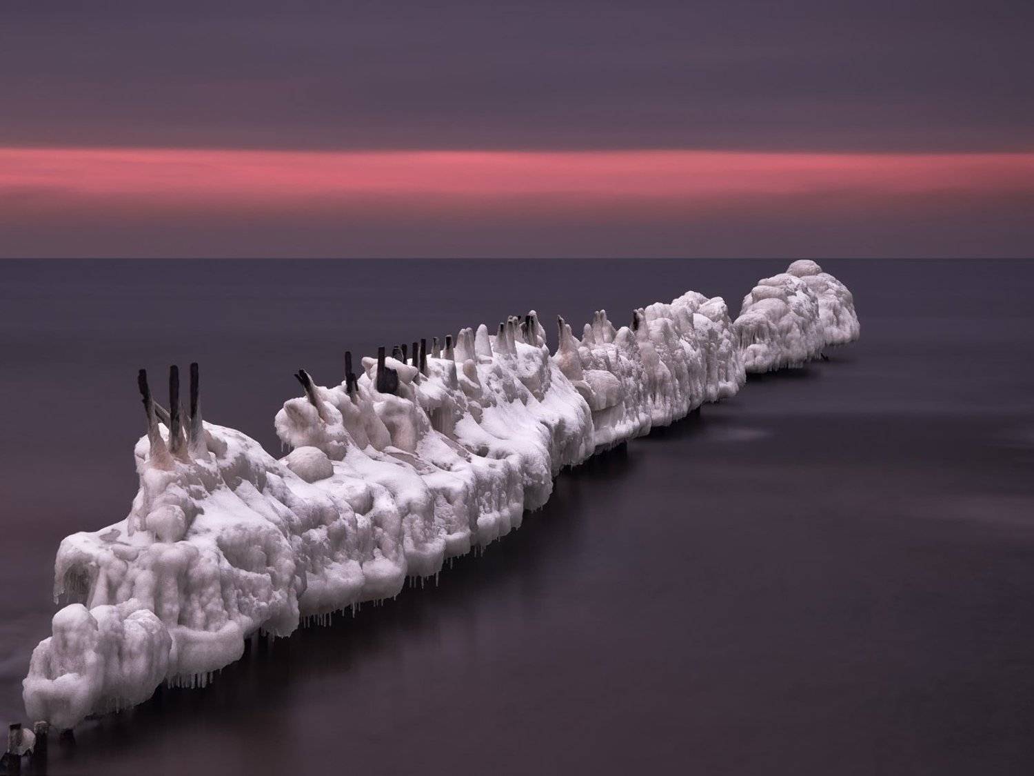 On the ice. Автор: jarekf34 , jarekf34