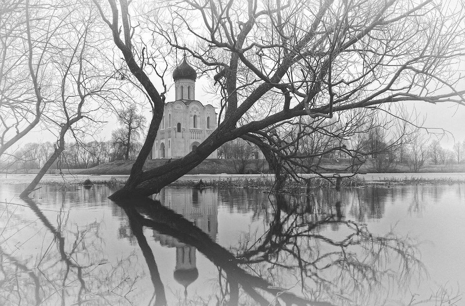 половодье на Нерли. Автор: Игорь Шиленок нерль разлив половодье боголюбово весна, Игорь Шиленок