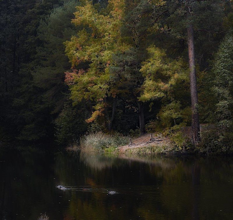 берегphoto preview