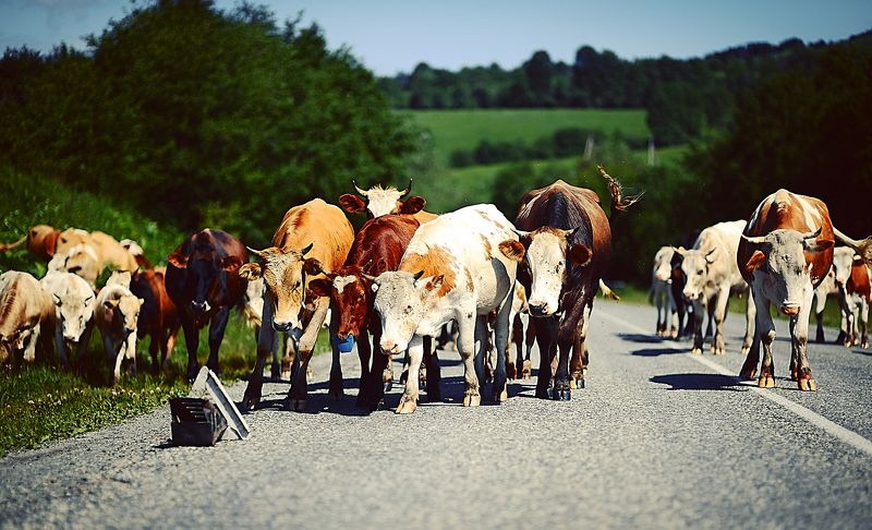 Эт что такое?photo preview