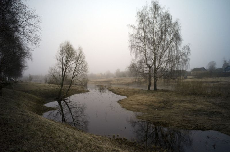 пейзаж Тверь туман Деревья город арт  photo preview