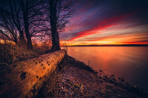 Bloody Sunset