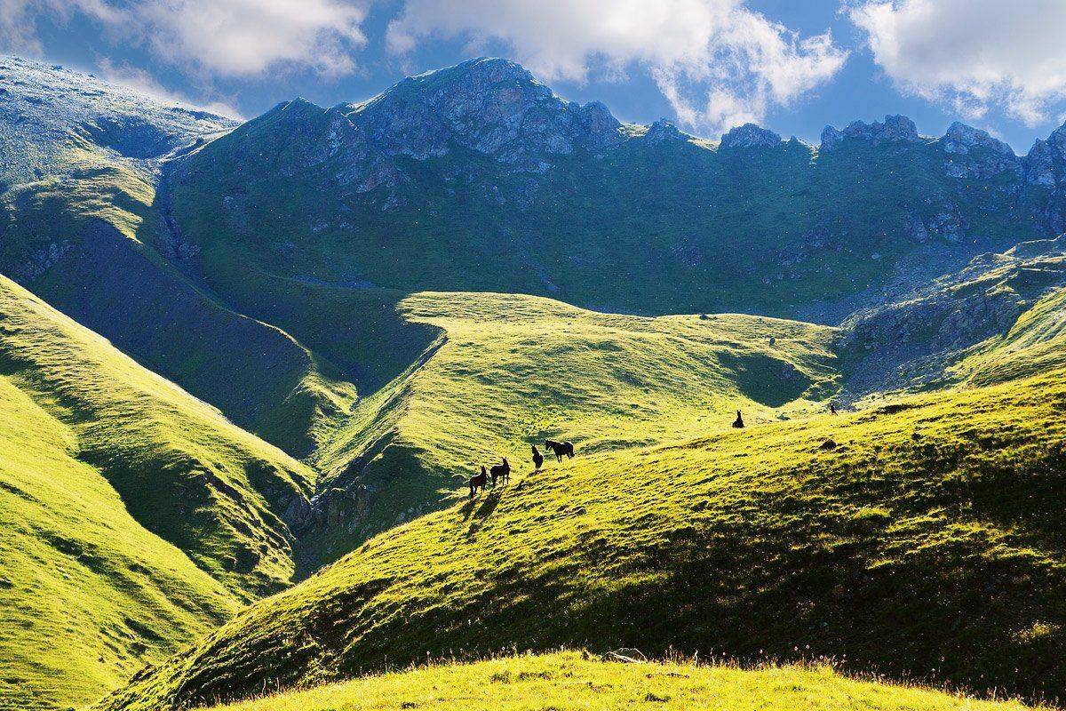 Дух свободи. Автор: Виталий Ра , Виталий Ра