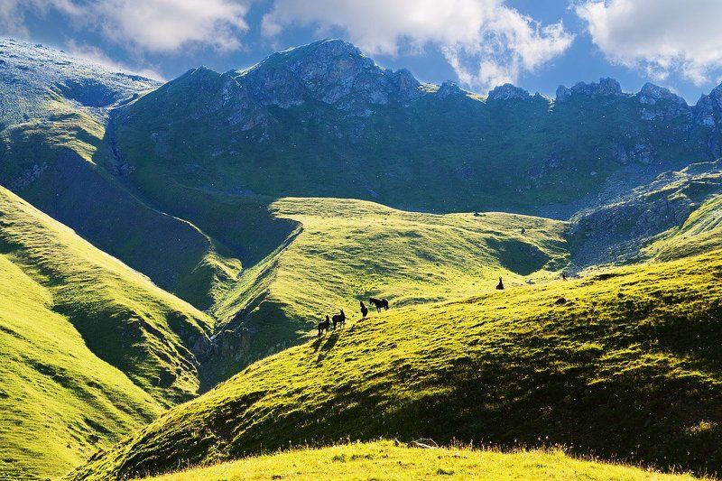 Дух свободиphoto preview