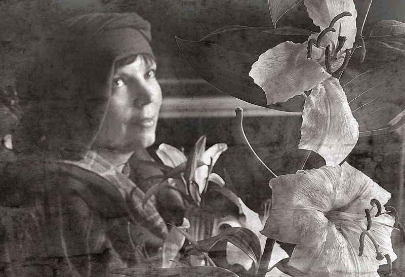 лилии, ахматова, стихи, портрет \