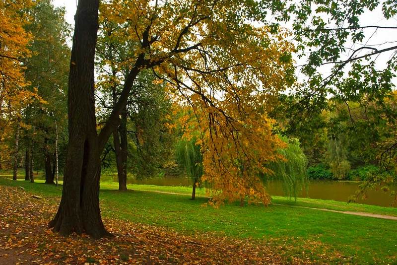 Пора осенняяphoto preview