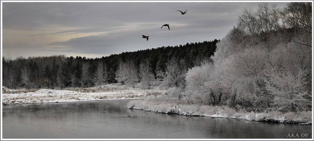 , Андрей Кашлаков