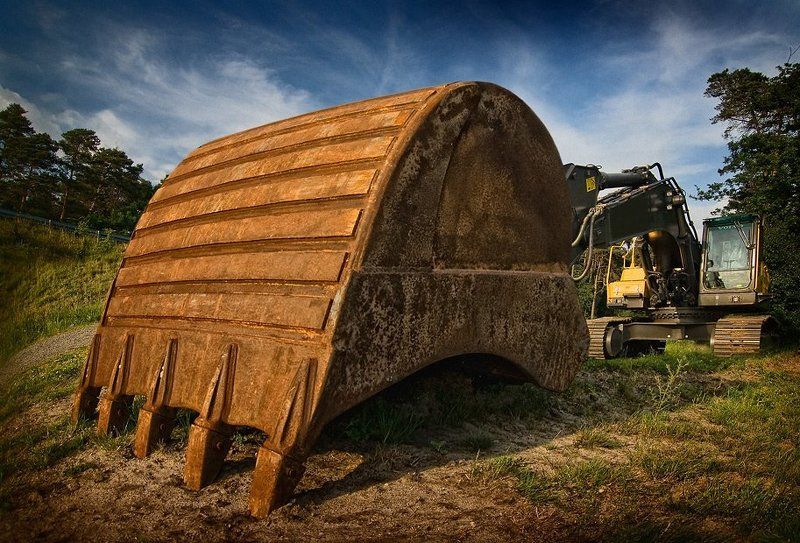 Полет шмеля июньским вечеромphoto preview