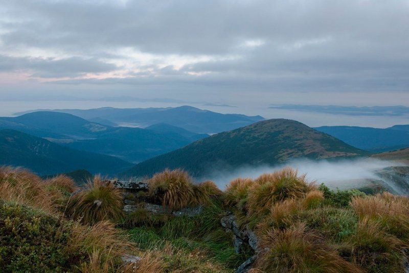 три моряphoto preview